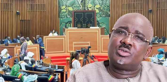 Assemblée nationale : Voici les 11 députés qui vont décider du sort de Farba Ngom