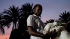 Senegal’s finest sheep vie for bloodline prestige at pageant