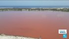 Senegal's Pink Lake in danger