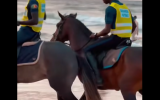 Ngaparou : Insécurité grandissante, la gendarmerie patrouille à cheval