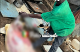 Diamaguène Sicap Mbao : Arrestation d’un homme pour vente de viande avariée et maltraitance animale