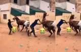 Maltraitance animale : Cet homme frappe sauvagement le cheval, la toile sous le choc (vidéo)