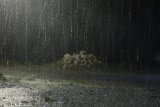 De la pluie dans ces 9 localités cette nuit, l’ANACIM avertit : « Ça vient du Mali »
