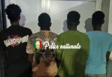 Vol en réunion à Cambérène : quatre individus arrêtés, dont un voisin de la victime