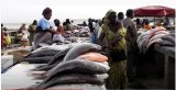 Présence supposée de mercure dans les poissons importés : Le ministère des Pêches réagit