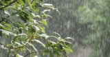 Alerte ANACIM : Ces régions qui vont recevoir de la pluie ce vendredi