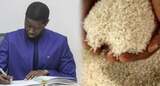 Riz local : L’État du Sénégal fixe le prix à 350 F CFA le kilo pour soutenir les producteurs