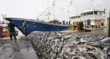 Sénégal : Le Ministre des Pêches publie la liste des navires autorisés à pêcher en 2025