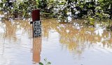 Tambacounda : Le fleuve Gambie dépasse la cote d’alerte à Kédougou