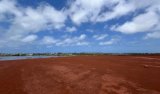 D’une décharge pour ordures à paradis écologique, l’incroyable métamorphose de Mbeubeuss en (…)