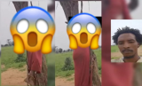 Soudan : Ce que l’on sait de la femme pendue par les bras à une branche d’arbre